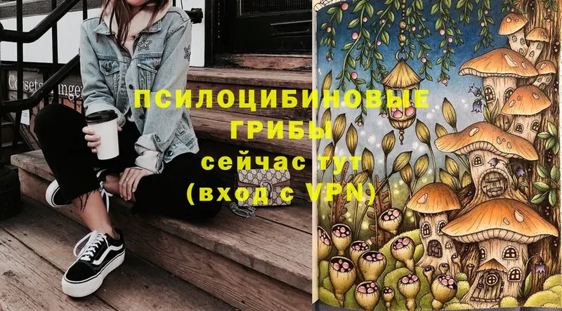 Галлюциногенные грибы Cubensis  Барыш 